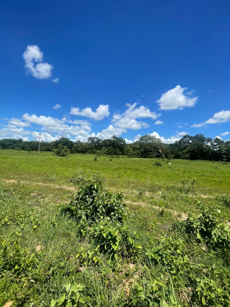 FAZENDA DE 920 HA EM MINAS GERAIS