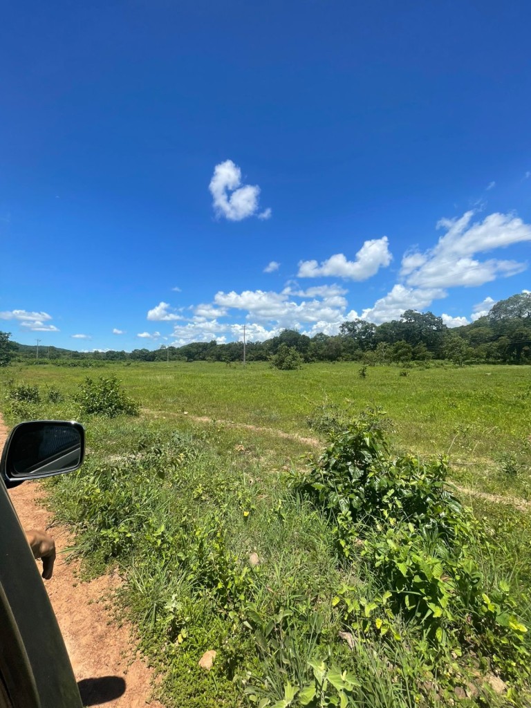 FAZENDA DE 920 HA EM MINAS GERAIS