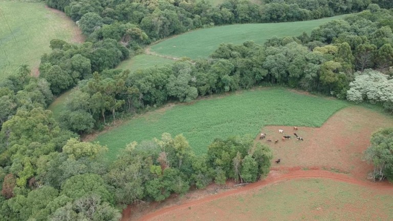 PROPRIEDADE DE 8.2 HA NO RS