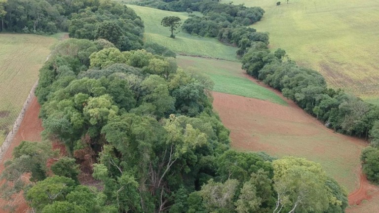 PROPRIEDADE DE 8.2 HA NO RS