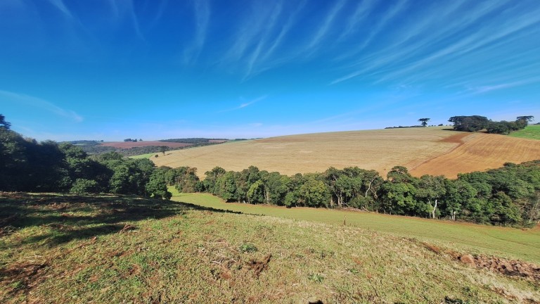 PROPRIEDADE DE 8.2 HA NO RS