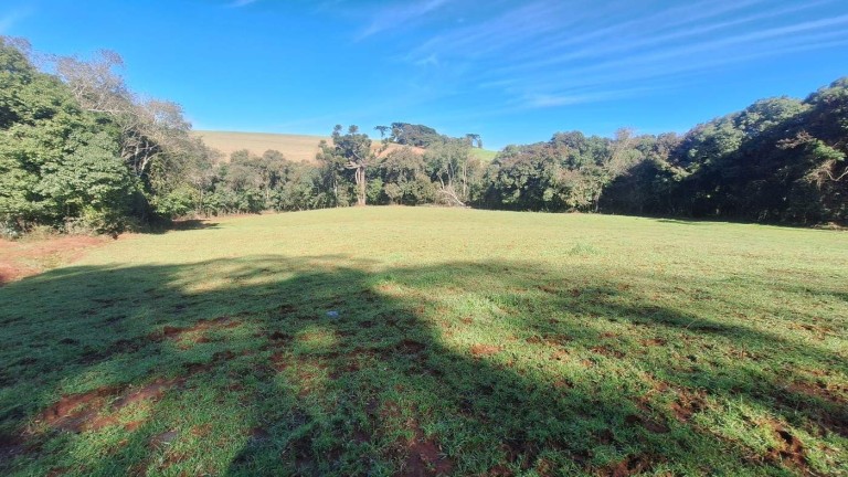 PROPRIEDADE DE 8.2 HA NO RS