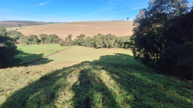 PROPRIEDADE DE 8.2 HA NO RS