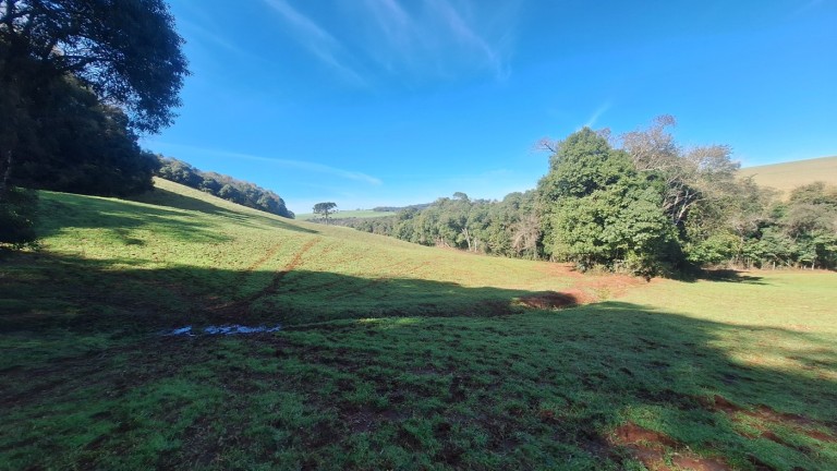 PROPRIEDADE DE 8.2 HA NO RS