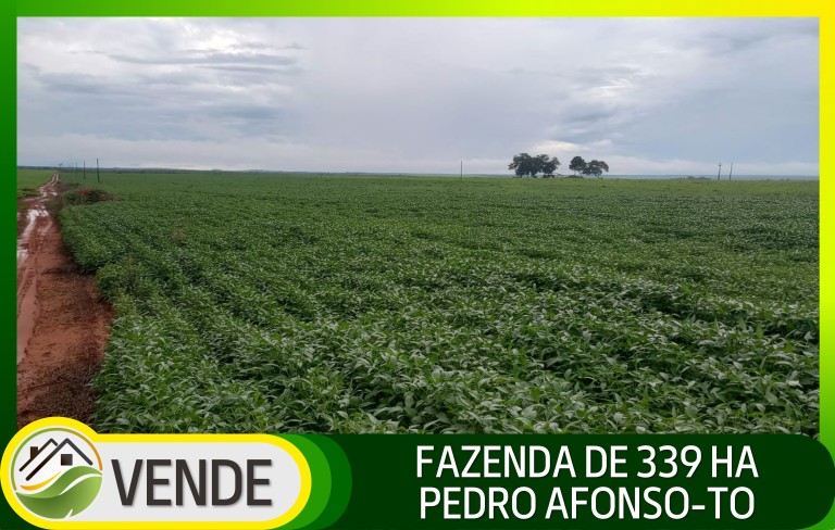 FAZENDA DE 339 HA NO TOCANTINS