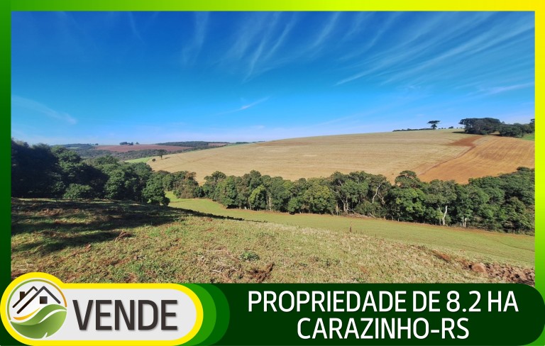 PROPRIEDADE DE 8.2 HA NO RS