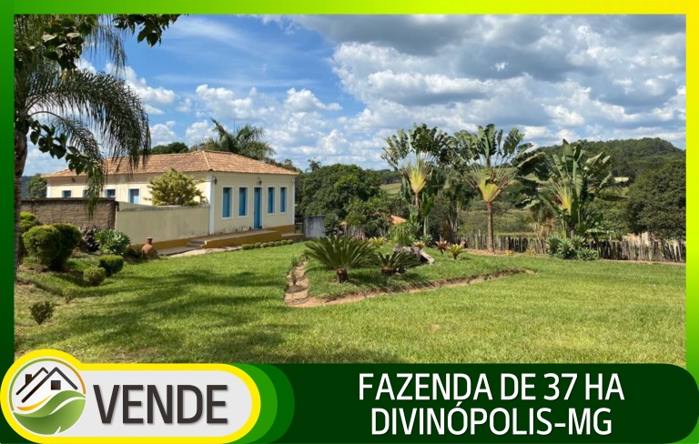 FAZENDA PORTEIRA FECHADA DE 37 HA