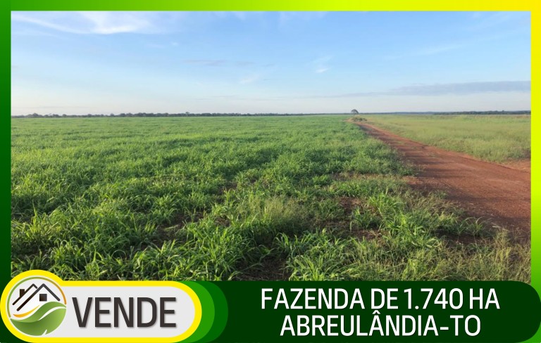 FAZENDA DE 1.740 HA NO TOCANTINS