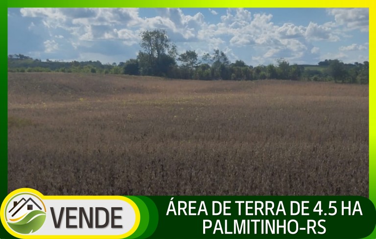 ÁREA DE TERRA DE 4.5 HA NO RS