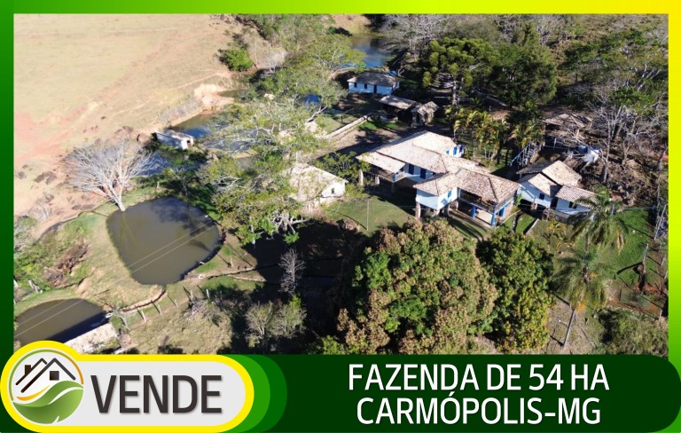 FAZENDA DE 54 HA EM MINAS GERAIS