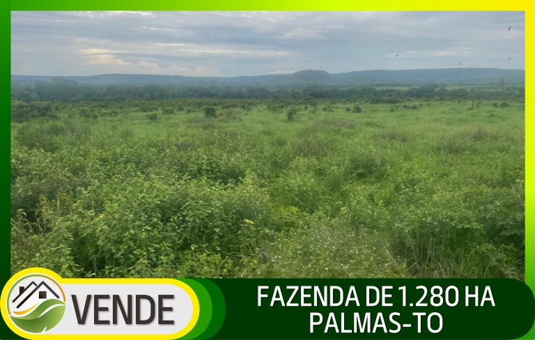 FAZENDA DE 1.280 HA NO TOCANTINS