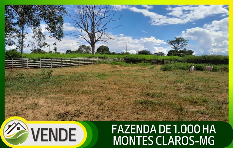 FAZENDA DE 1.000 HA EM MINAS GERAIS