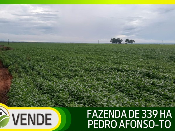 FAZENDA DE 339 HA NO TOCANTINS