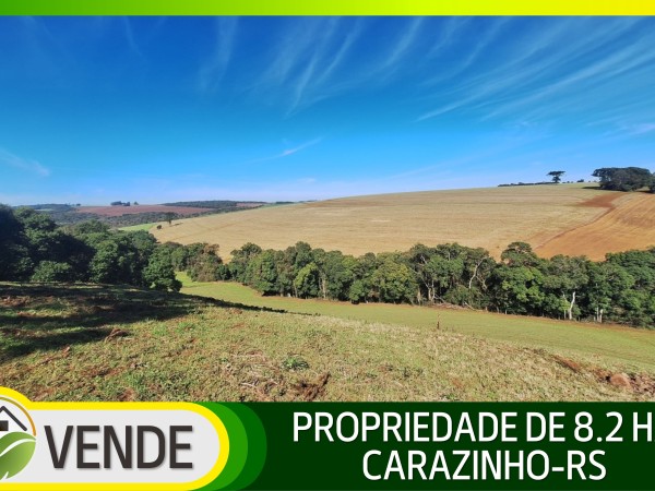 PROPRIEDADE DE 8.2 HA NO RS