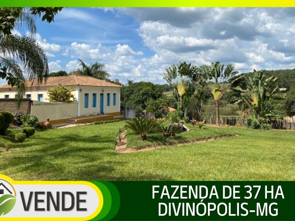 FAZENDA PORTEIRA FECHADA DE 37 HA