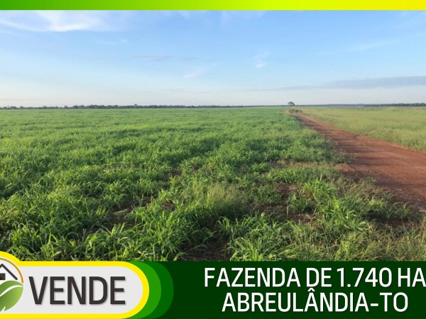 FAZENDA DE 1.740 HA NO TOCANTINS