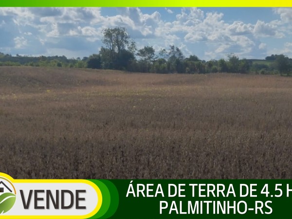 ÁREA DE TERRA DE 4.5 HA NO RS