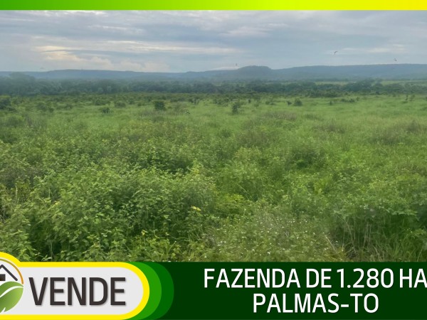 FAZENDA DE 1.280 HA NO TOCANTINS