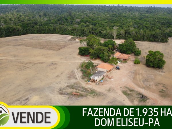 FAZENDA DE 1.935 HA NO PARÁ