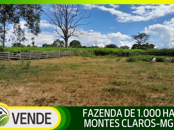 FAZENDA DE 1.000 HA EM MINAS GERAIS