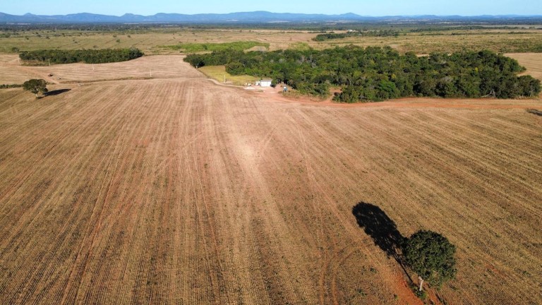 FAZENDA DE 870 HA NO TOCANTINS