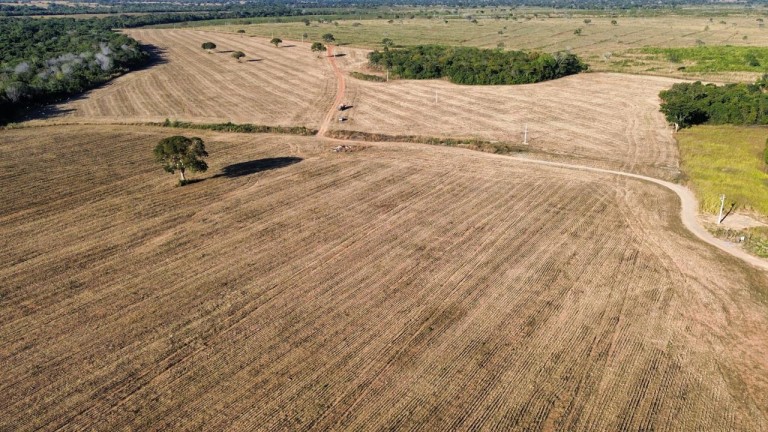 FAZENDA DE 870 HA NO TOCANTINS