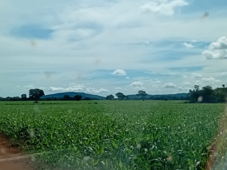 FAZENDA DE 870 HA NO TOCANTINS