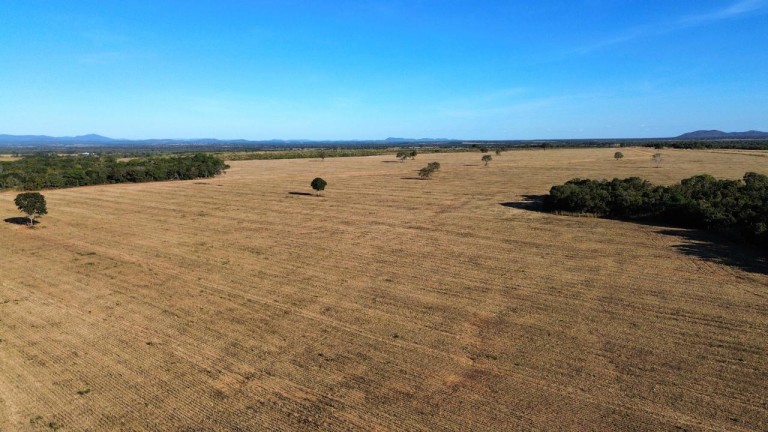 FAZENDA DE 870 HA NO TOCANTINS