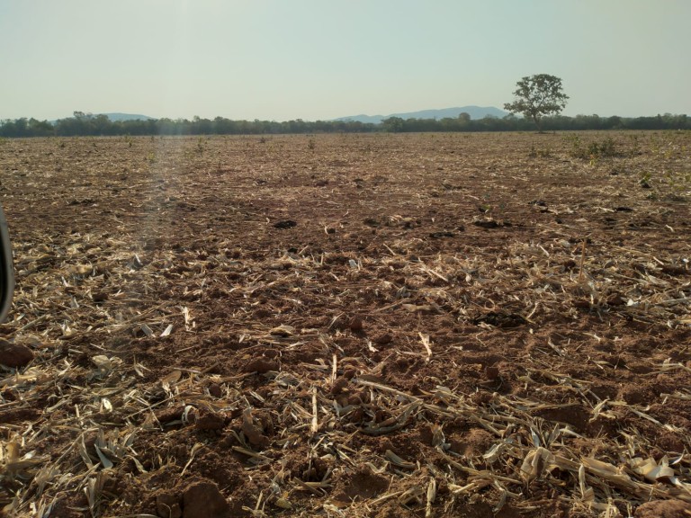 FAZENDA DE 870 HA NO TOCANTINS