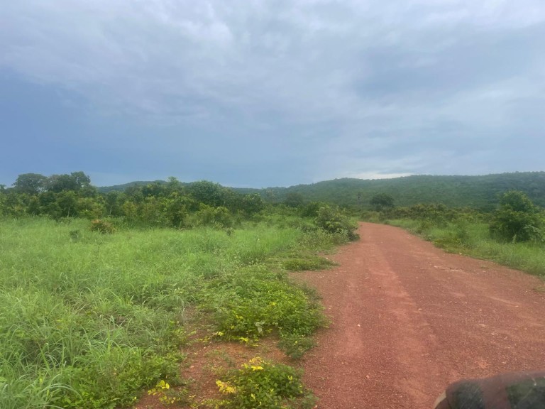 FAZENDA DE 1.280 HA NO TOCANTINS