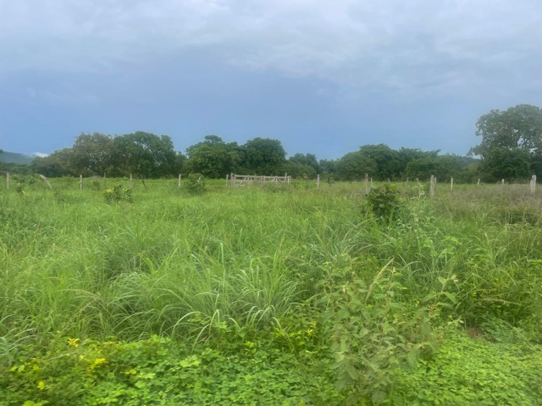 FAZENDA DE 1.280 HA NO TOCANTINS