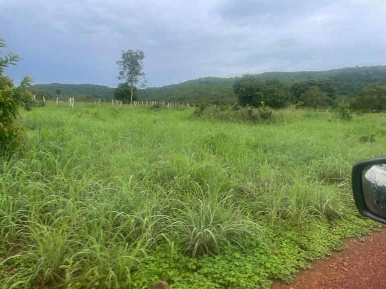 FAZENDA DE 1.280 HA NO TOCANTINS