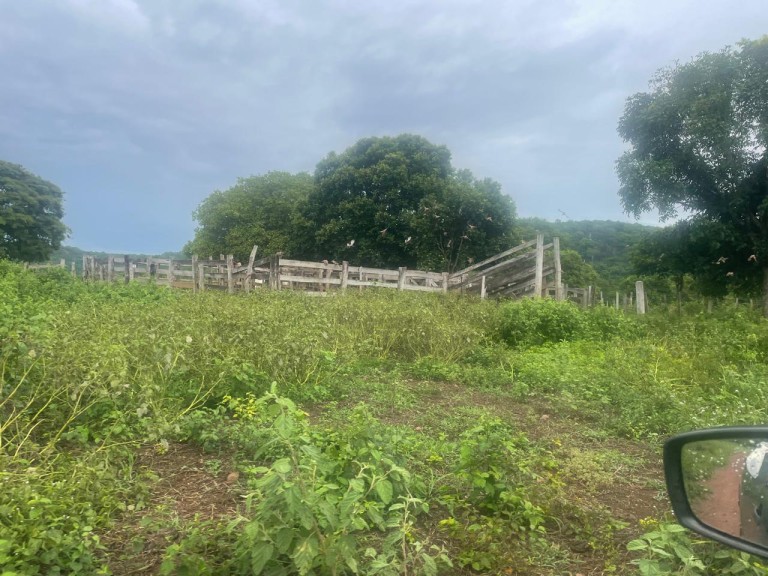 FAZENDA DE 1.280 HA NO TOCANTINS