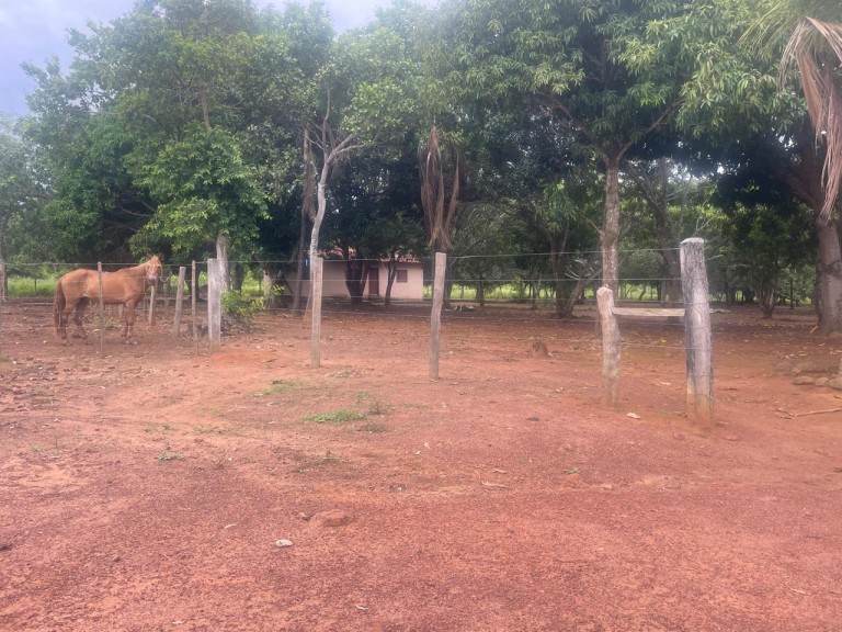 FAZENDA DE 1.280 HA NO TOCANTINS