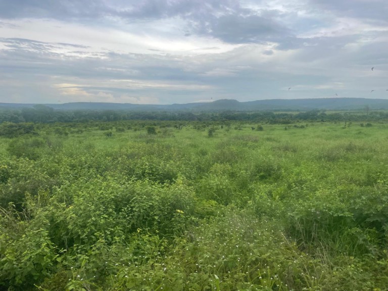 FAZENDA DE 1.280 HA NO TOCANTINS