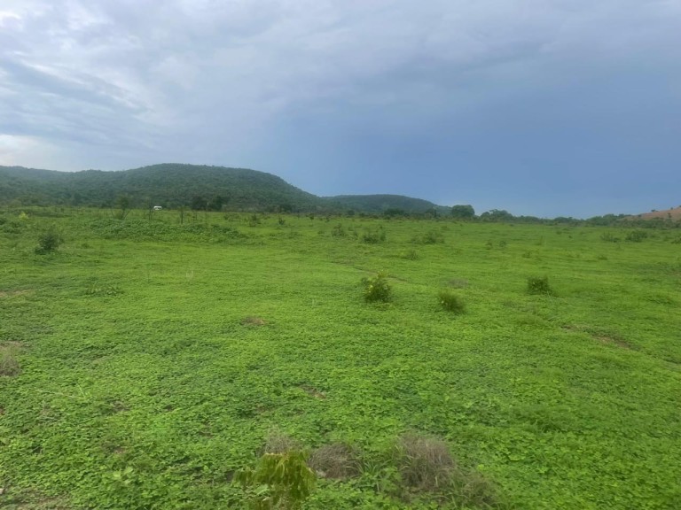 FAZENDA DE 1.280 HA NO TOCANTINS