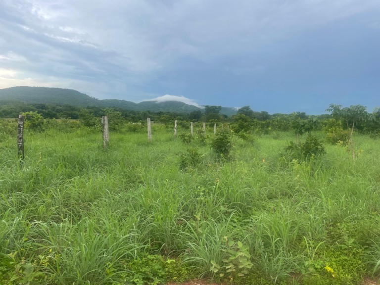 FAZENDA DE 1.280 HA NO TOCANTINS