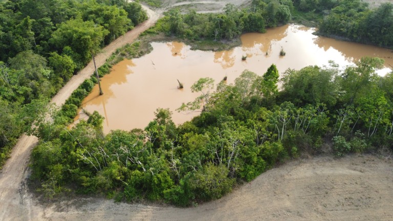 FAZENDA DE 1.935 HA NO PARÁ