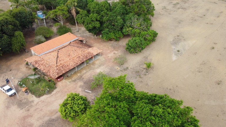 FAZENDA DE 1.935 HA NO PARÁ