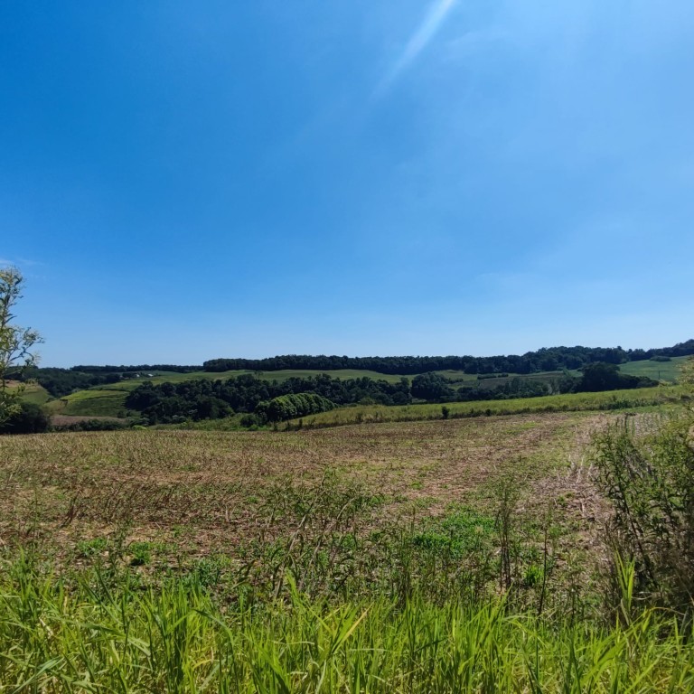 ÁREA DE TERRA DE 11.3 HA NO RS