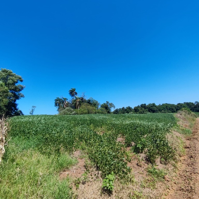 ÁREA DE TERRA DE 11.3 HA NO RS