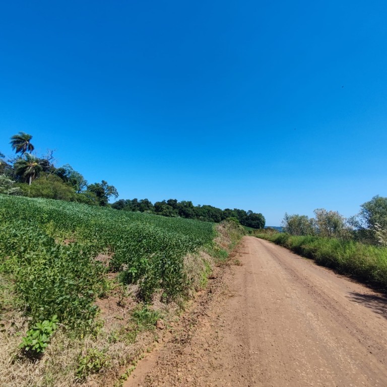 ÁREA DE TERRA DE 11.3 HA NO RS
