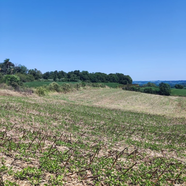 ÁREA DE TERRA DE 11.3 HA NO RS