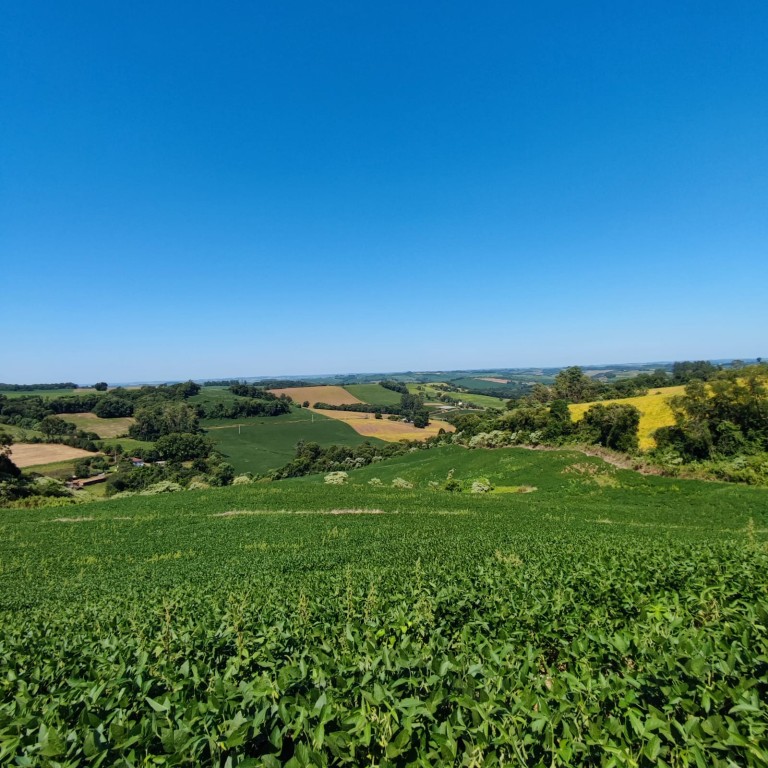 ÁREA DE TERRA DE 11.3 HA NO RS