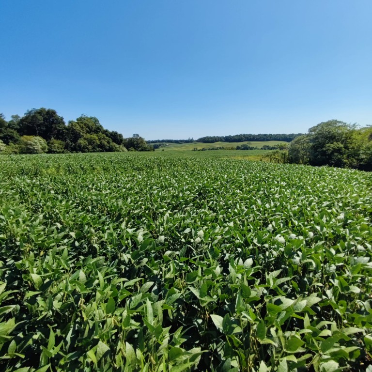 ÁREA DE TERRA DE 11.3 HA NO RS