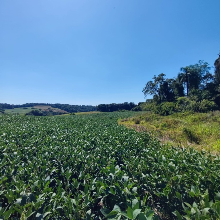 ÁREA DE TERRA DE 11.3 HA NO RS