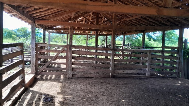 FAZENDA DE 1.000 HA EM MINAS GERAIS