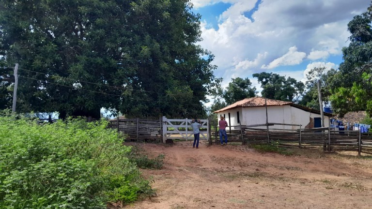 FAZENDA DE 1.000 HA EM MINAS GERAIS
