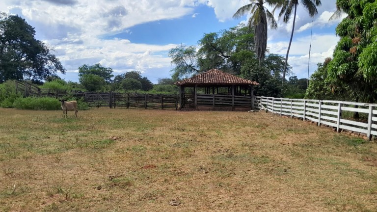 FAZENDA DE 1.000 HA EM MINAS GERAIS