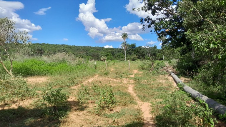 FAZENDA DE 1.000 HA EM MINAS GERAIS